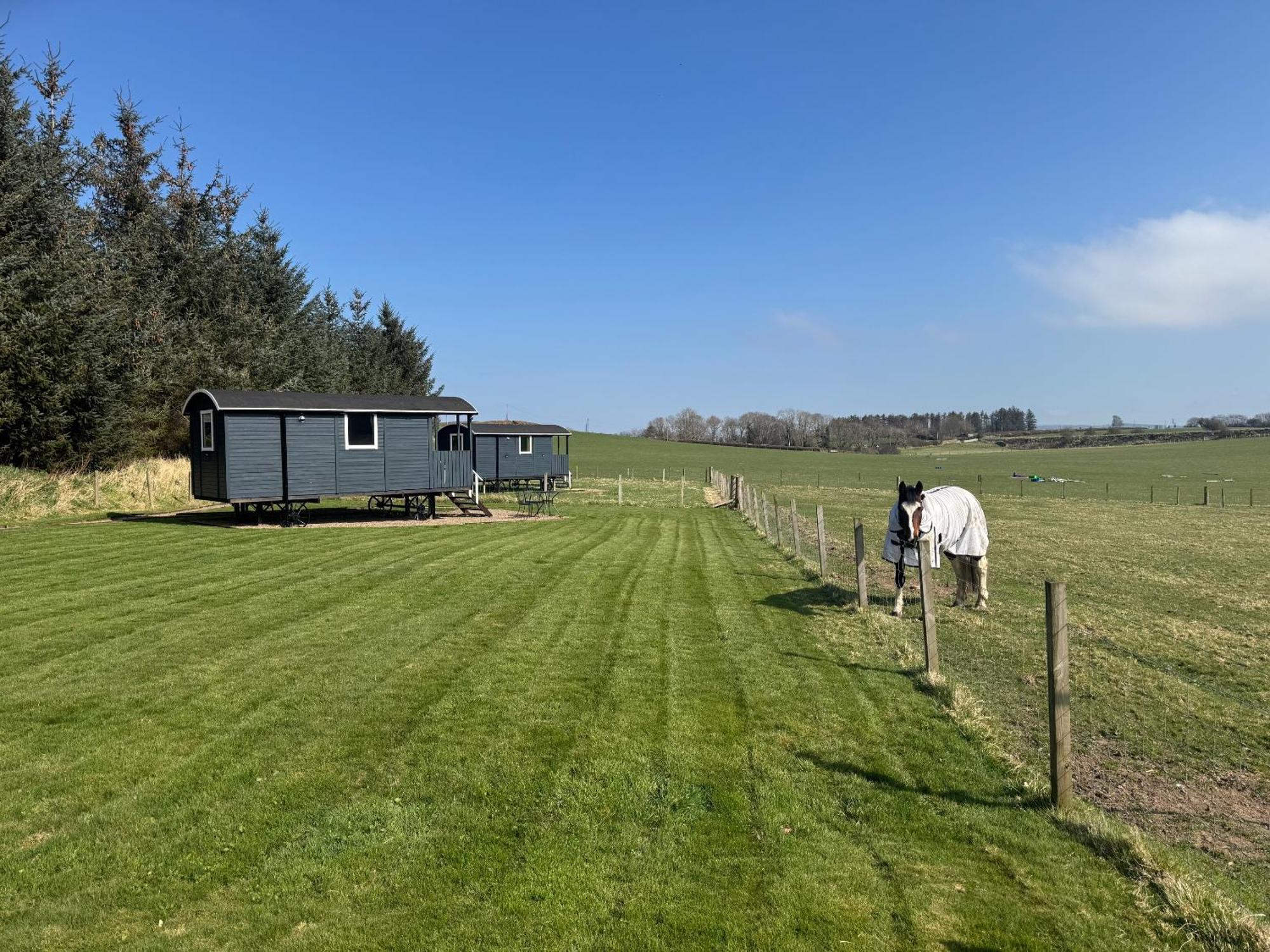 Roslin Glamping Ξενοδοχείο Εξωτερικό φωτογραφία